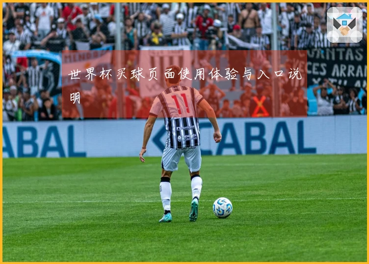 世界杯买球页面使用体验与入口说明