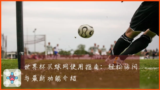世界杯买球网使用指南：轻松访问与最新功能介绍