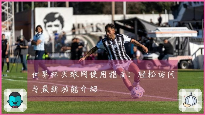 世界杯买球网使用指南：轻松访问与最新功能介绍