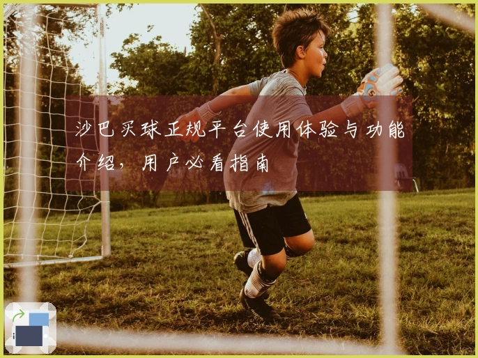 沙巴买球正规平台使用体验与功能介绍，用户必看指南