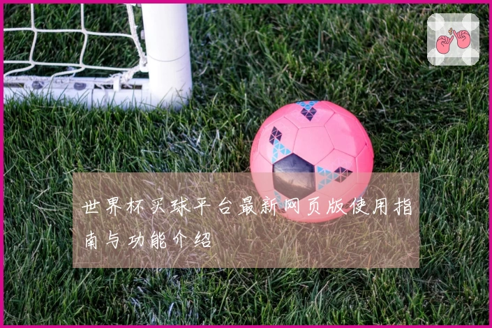 世界杯买球平台最新网页版使用指南与功能介绍