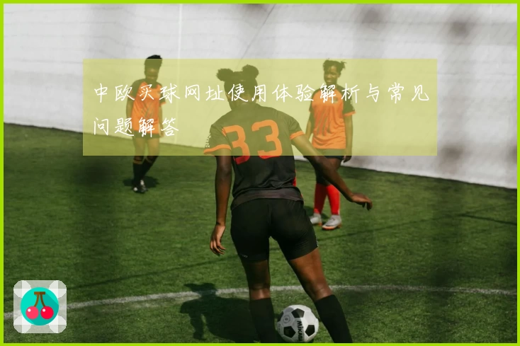 中欧买球网址使用体验解析与常见问题解答