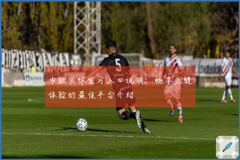 中欧买球官方入口说明：畅享无缝体验的最佳平台介绍