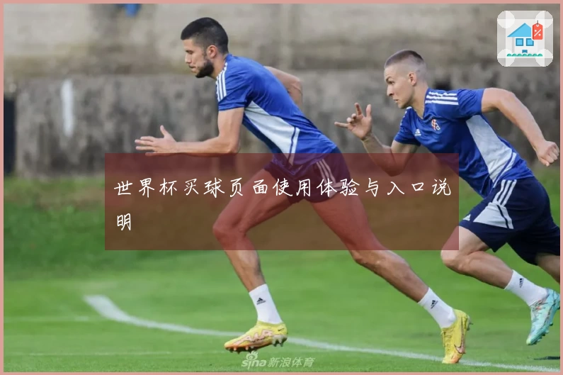 世界杯买球页面使用体验与入口说明