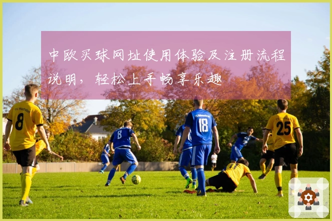 中欧买球网址使用体验及注册流程说明，轻松上手畅享乐趣